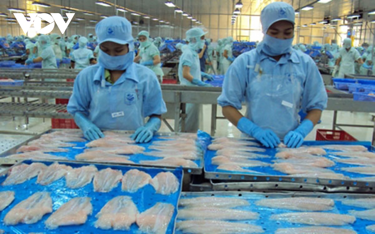 Tra fish exports forecast to rake in US$1.7 billion in 2022